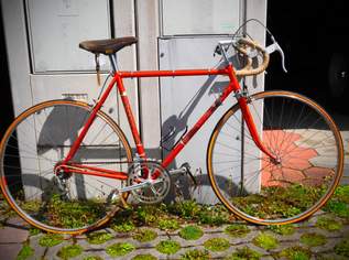 Bottecchia rennradweltmeister 1966, 300 €, Auto & Fahrrad-Fahrräder in 2540 Bad Vöslau