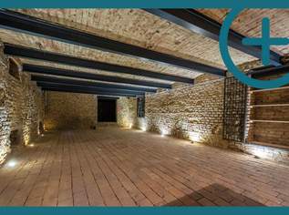 Weinkeller - Lagerfläche, 950.6 €, Immobilien-Gewerbeobjekte in 2340 Gemeinde Mödling