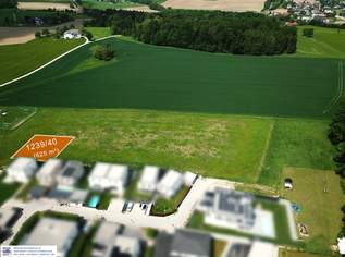 Baugrundstücke in Katsdorf / Ruhstetten – sonnige Lage, ideal für 1–3 Wohneinheiten je Parzelle, 156250 €, Immobilien-Grund und Boden in 4223 Katsdorf