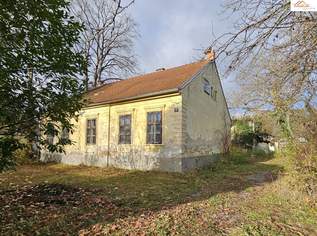 Traumhafte Liegenschaft in Pitten – Großzügiges Bauland mit charmantem Altbestand, 495000 €, Immobilien-Häuser in 2823 Gemeinde Pitten