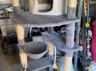 Großer Katzenkratzbaum