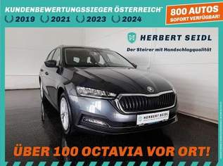 Octavia Combi FIRST ED 2,0 TDI DSG *LED & DYN BLINKER /..., 22480 €, Auto & Fahrrad-Autos in 8200 Gleisdorf Octavia Combi FIRST ED 2,0 TDI DSG *LED & DYN BLINKER /..., 22480 €, Auto & Fahrrad-Autos in 8200 Gleisdorf