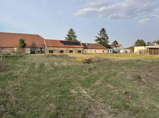 "Leistbarer Baugrund", 50000 €, Immobilien-Grund und Boden in 3484 Feuersbrunn