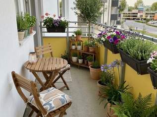 Moderne Mietwohnung, 894.62 €, Immobilien-Wohnungen in Niederösterreich Moderne Mietwohnung, 894.62 €, Immobilien-Wohnungen in Niederösterreich