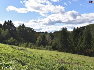 Rastbühel – Stadtnah und doch im Grünen! Vier Baugrundstücke in Toplage bei Graz! Jetzt gleich anfragen!, 207000 €, Immobilien-Grund und Boden in Steiermark Rastbühel – Stadtnah und doch im Grünen! Vier Baugrundstücke in Toplage bei Graz! Jetzt gleich anfragen!, 207000 €, Immobilien-Grund und Boden in Steiermark