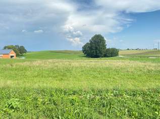 Letzter Baugrund in sonniger Siedlungslage, 88200 €, Immobilien-Grund und Boden in 4755 Dorf
