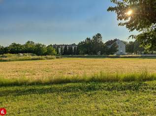 Betriebsgrundstück in 2434 Götzendorf, 0 €, Immobilien-Gewerbeobjekte in 2434 Katastralgemeinde Götzendorf an der Leitha Betriebsgrundstück in 2434 Götzendorf, 0 €, Immobilien-Gewerbeobjekte in 2434 Katastralgemeinde Götzendorf an der Leitha