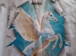 Pegasus Damen Shirt Gr. 50 weiß neuwertig Pegasus Damen Shirt Gr. 50 weiß neuwertig