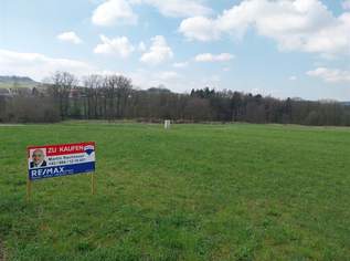 Baugrund in Neubausiedlung, 71000 €, Immobilien-Grund und Boden in 4942 Wippenham Baugrund in Neubausiedlung, 71000 €, Immobilien-Grund und Boden in 4942 Wippenham