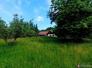 Nähe Jennersdorf: Absolute Einzellage mit einzigartigem Fernblick, 1,6 ha, 260000 €, Immobilien-Häuser in 7561 Poppendorf im Burgenland Nähe Jennersdorf: Absolute Einzellage mit einzigartigem Fernblick, 1,6 ha, 260000 €, Immobilien-Häuser in 7561 Poppendorf im Burgenland