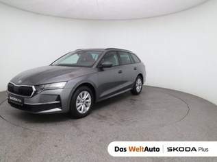 Octavia Selection TDI DSG, 35550 €, Auto & Fahrrad-Autos in 4060 Leonding