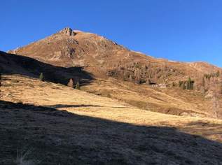 5,8 ha Almgrundstück im Mölltal zu vekaufen, 66000 €, Immobilien-Gewerbeobjekte in 9832 Stall 5,8 ha Almgrundstück im Mölltal zu vekaufen, 66000 €, Immobilien-Gewerbeobjekte in 9832 Stall