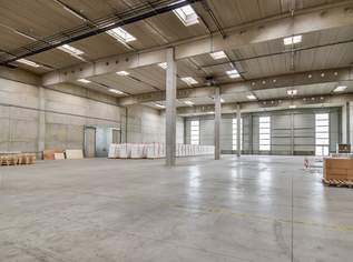 Lagerhalle 2600 m2 in Wr. Neudorf - Büros im Hauptgebäude verfügbar, 18960 €, Immobilien-Gewerbeobjekte in 2351 Gemeinde Wiener Neudorf
