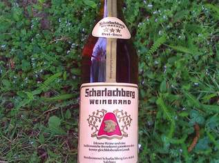 Scharlachberg Weinbrand, altgelagert, 25 €, Marktplatz-Genuss & Kulinarik in 1210 Floridsdorf