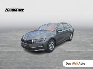 Octavia Selection TDI DSG, 37990 €, Auto & Fahrrad-Autos in 8753 Fohnsdorf Octavia Selection TDI DSG, 37990 €, Auto & Fahrrad-Autos in 8753 Fohnsdorf