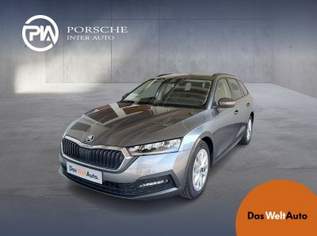 Octavia Ambition TDI, 29390 €, Auto & Fahrrad-Autos in 8430 Leibnitz