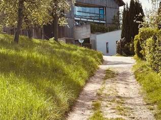 Top Anlegerobjekt! Toller Preis!, 0 €, Immobilien-Wohnungen in 4612 Scharten