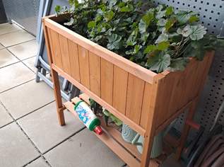 Hochbeet 