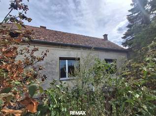 ,,Kleines Haus und großer Obstgarten in Hornstein!", 465000 €, Immobilien-Häuser in 7053 Hornstein ,,Kleines Haus und großer Obstgarten in Hornstein!", 465000 €, Immobilien-Häuser in 7053 Hornstein