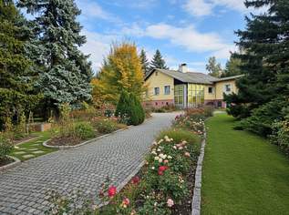 Ihr Rückzugsort im Grünen – Wohnen mit 4.000 m² Gartenidylle - Ein Haus mit Potenzial in Felling, 169000 €, Immobilien-Häuser in 2092 Felling