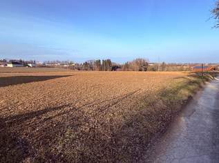 Betriebsbaugrund in attraktivster Lage!, 2958 €, Immobilien-Gewerbeobjekte in 4551 Ried im Traunkreis