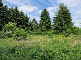 GELDANLAGE OHNE BAUZWANG MIT BAUTRÄGEREIGNUNG ODER IHR GRUNDSTÜCK FÜR EIN TRAUMHAUS IN RUHIGER SIEDLUNGSLAGE, 130000 €, Immobilien-Grund und Boden in 3484 Gemeinde Grafenwörth GELDANLAGE OHNE BAUZWANG MIT BAUTRÄGEREIGNUNG ODER IHR GRUNDSTÜCK FÜR EIN TRAUMHAUS IN RUHIGER SIEDLUNGSLAGE, 130000 €, Immobilien-Grund und Boden in 3484 Gemeinde Grafenwörth