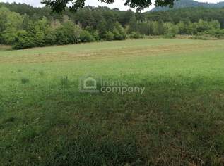 Wunderschönes Grundstück in Grünbach am Schneeberg - ca. 5.200 m² mit ca. 1.000 m² Bauland, 249000 €, Immobilien-Grund und Boden in 2733 Katastralgemeinde Grünbach am Schneeberg Wunderschönes Grundstück in Grünbach am Schneeberg - ca. 5.200 m² mit ca. 1.000 m² Bauland, 249000 €, Immobilien-Grund und Boden in 2733 Katastralgemeinde Grünbach am Schneeberg