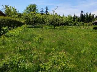 Neuer Preis!!Letztes Baugrundstück in einer ruhigen Sackgasse steht zum Verkauf!!, 239000 €, Immobilien-Grund und Boden in 3021 Pressbaum