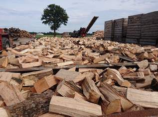 Brennholz geschnitten und gespalten von verschiedenen Holzarten, 50 €, Haus, Bau, Garten-Balkon & Garten in 8020 Graz Brennholz geschnitten und gespalten von verschiedenen Holzarten, 50 €, Haus, Bau, Garten-Balkon & Garten in 8020 Graz