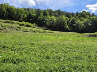 Bauland (ca. 8.700 m²) in herrlicher Panoramalage zu kaufen in Stattegg!, 1530000 €, Immobilien-Grund und Boden in 8046 