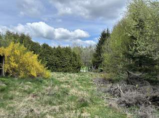 Baugrundstück ohne Bauverpflichtung, 139000 €, Immobilien-Grund und Boden in 4202 Kirchschlag bei Linz