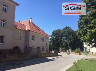 Erdgeschoss 2-ZImmer sanierte Altbauwohnung - nur 100m von Donau entfernt, 632.17 €, Immobilien-Wohnungen in 2410 Gemeinde Hainburg an der Donau