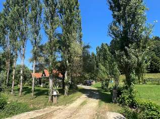 Über 5,2 ha (!) Eigengrund, mit wunderschönem "DREIKANTER" in südburgenländischer Idylle!, 0 €, Immobilien-Häuser in 7543 Neusiedl bei Güssing Über 5,2 ha (!) Eigengrund, mit wunderschönem "DREIKANTER" in südburgenländischer Idylle!, 0 €, Immobilien-Häuser in 7543 Neusiedl bei Güssing