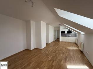 Charmante 1-Zimmer Dachgeschosswohnung in grüner Ruhelage in Top-Lage in Hietzing, 805.41 €, Immobilien-Wohnungen in 1130 Hietzing