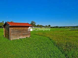Ihr Traumgrundstück in Sipbachzell: 900m² mit Fernblick !, 260000 €, Immobilien-Grund und Boden in 4621 Sipbachzell Ihr Traumgrundstück in Sipbachzell: 900m² mit Fernblick !, 260000 €, Immobilien-Grund und Boden in 4621 Sipbachzell