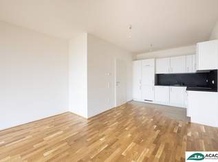 schnell melden, gleich einziehen: top 2-Zimmer Gartenwohnung in Pixendorf - Leben im Grünen, aber nahe der Stadt!, 809.61 €, Immobilien-Wohnungen in 3441 Pixendorf