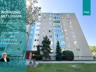 3 Zimmer Wohnung plus Loggia und Lift, 199000 €, Immobilien-Wohnungen in 2500 Gemeinde Baden 3 Zimmer Wohnung plus Loggia und Lift, 199000 €, Immobilien-Wohnungen in 2500 Gemeinde Baden