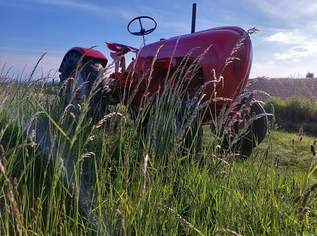 Porsche Diesel Traktor - Restaurationsabbruch, 5555 €, Auto & Fahrrad-Traktoren & Nutzfahrzeuge in 3701 Gemeinde Großweikersdorf Porsche Diesel Traktor - Restaurationsabbruch, 5555 €, Auto & Fahrrad-Traktoren & Nutzfahrzeuge in 3701 Gemeinde Großweikersdorf