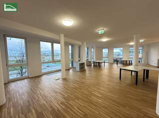 Büro mit Urlaubsfeeling! Arbeiten mit Blick auf den Asperner See - Moderne Bürofläche in der Seestadt, 1432.5 €, Immobilien-Gewerbeobjekte in 1220 Donaustadt