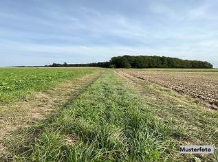 Landwirtschaftsfläche + provisionsfrei +, 4800 €, Immobilien-Grund und Boden in 8344 Bad Gleichenberg Landwirtschaftsfläche + provisionsfrei +, 4800 €, Immobilien-Grund und Boden in 8344 Bad Gleichenberg