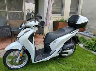 SH 125 Topzustand, 2900 €, Auto & Fahrrad-Motorräder in 3040 Gemeinde Neulengbach