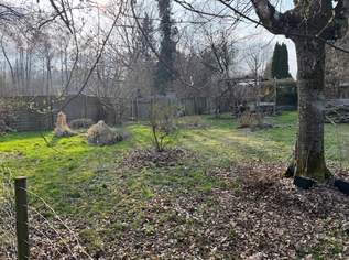 Sonniger Kleingarten in Salzburg (ca. 500 m²)