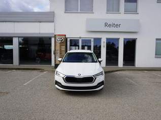 Octavia Combi 2,0 TDI DSG *LED*SHZ*AHK*KEYLESS*, 18888 €, Auto & Fahrrad-Autos in 4600 Wels Octavia Combi 2,0 TDI DSG *LED*SHZ*AHK*KEYLESS*, 18888 €, Auto & Fahrrad-Autos in 4600 Wels