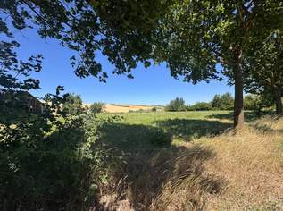 Großzügiges Baugrundstück 1487m² in 2126 Pürstendorf – Eigenheim nach Wunsch!, 270000 €, Immobilien-Grund und Boden in 2126 Pürstendorf Großzügiges Baugrundstück 1487m² in 2126 Pürstendorf – Eigenheim nach Wunsch!, 270000 €, Immobilien-Grund und Boden in 2126 Pürstendorf