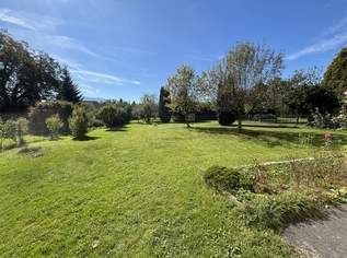 Grundstück mit Altbestand in Maxglan, 1350000 €, Immobilien-Grund und Boden in 5020 Salzburg