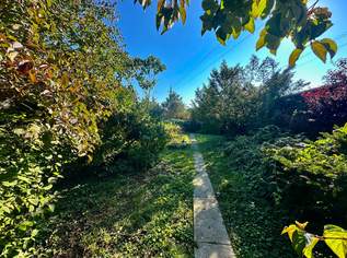 Landhaus mit viel Platz auf rund 995 m² Grund!, 169000 €, Immobilien-Häuser in 2273 Gemeinde Hohenau an der March