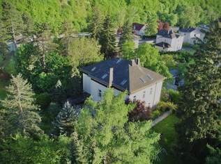 Mitten im Grünen & im Villenviertel: exklusive Gartenwohnung mit ca. 930 m² Außenfläche, beheiztem Wintergarten, Pool, Luftwärmepumpe u.v.m.!, 1100000 €, Immobilien-Wohnungen in 3002 Purkersdorf