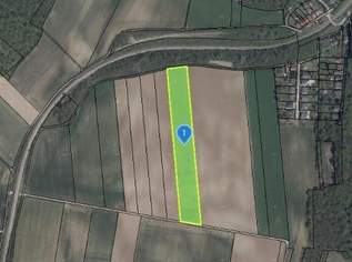 TOLLE ACKERFLÄCHE IN BIOLOGISCHER BEWIRTSCHAFTUNG IN SÜDSEITIGER AUSRICHTUNG MIT GUTER BONITÄT IN NIEDERKREUZSTETTEN, 144328 €, Immobilien-Grund und Boden in 4124 Niederkreuzstetten TOLLE ACKERFLÄCHE IN BIOLOGISCHER BEWIRTSCHAFTUNG IN SÜDSEITIGER AUSRICHTUNG MIT GUTER BONITÄT IN NIEDERKREUZSTETTEN, 144328 €, Immobilien-Grund und Boden in 4124 Niederkreuzstetten