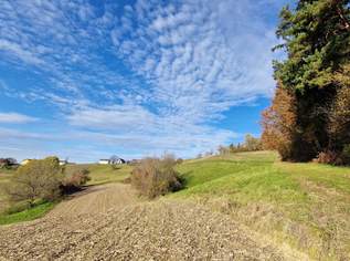 Idyllische Landwirtschaft in Pirching am Traubenberg mit großem Potenzial, 633000 €, Immobilien-Gewerbeobjekte in 8081 Pirching am Traubenberg