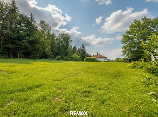 Sonniges Baugrundstück in grüner Lage von Natternbach – ohne Bauzwang, 45000 €, Immobilien-Grund und Boden in 4723 Natternbach Sonniges Baugrundstück in grüner Lage von Natternbach – ohne Bauzwang, 45000 €, Immobilien-Grund und Boden in 4723 Natternbach